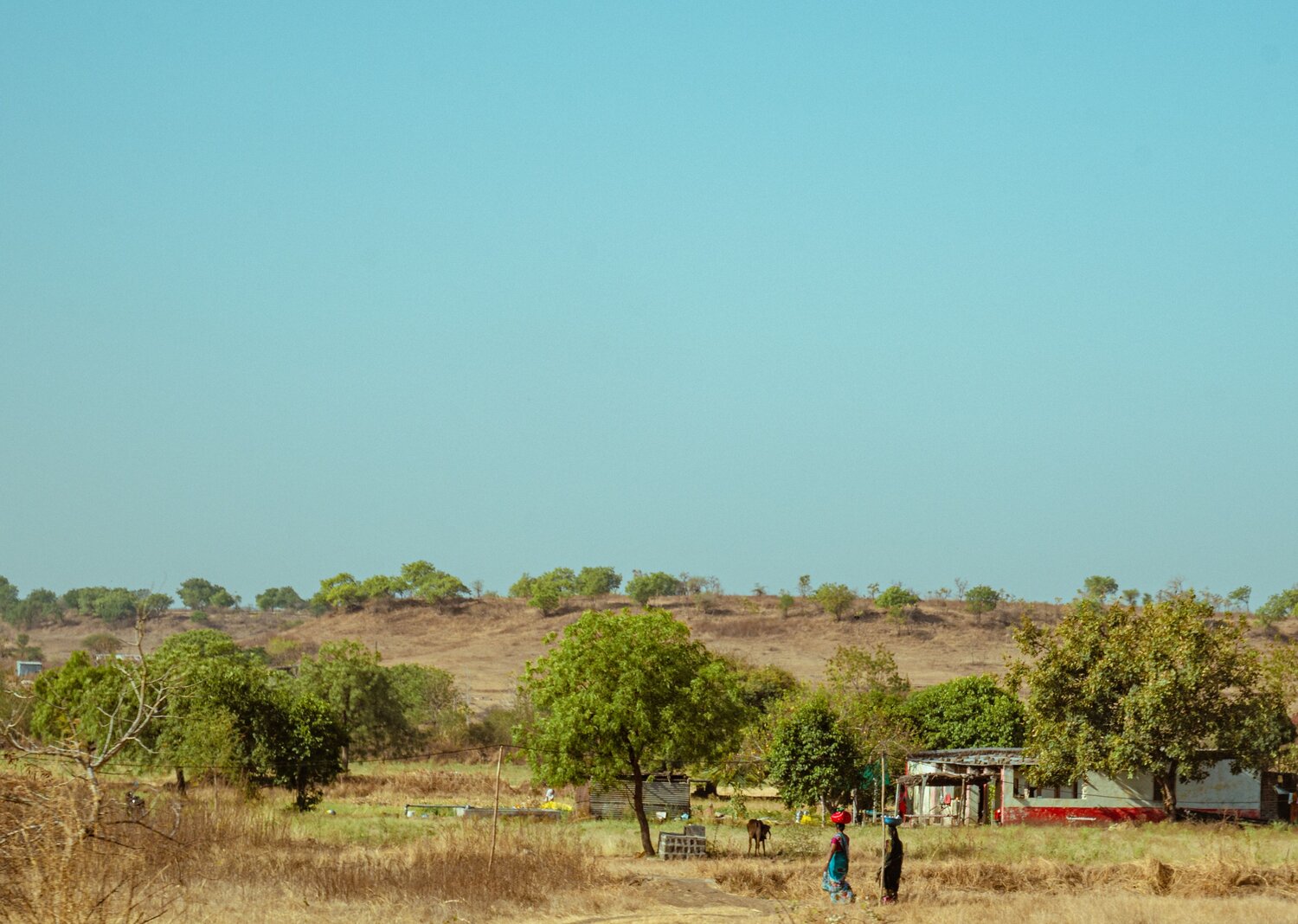 Photo #13802544