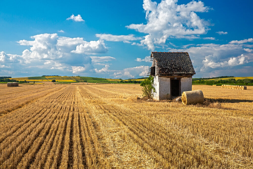 Photograph by Samir Kurtagić
