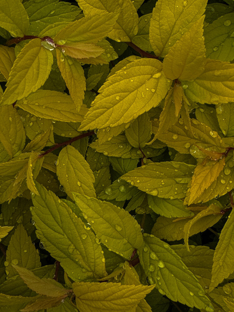 Photograph by Наталья Чехова