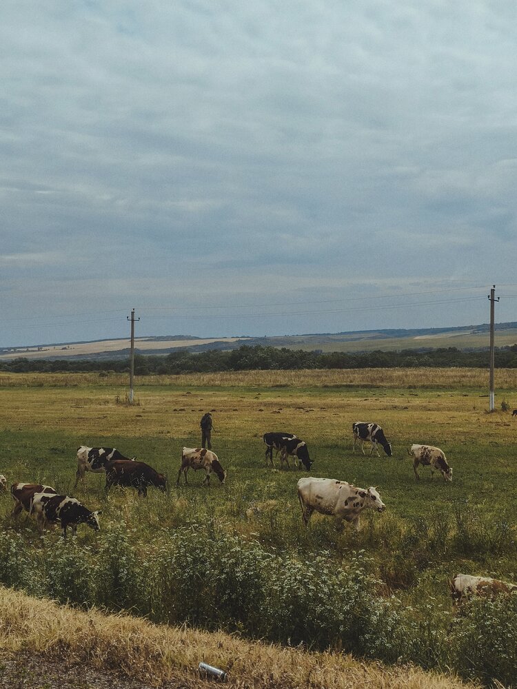 Photograph by Наталия Соболева