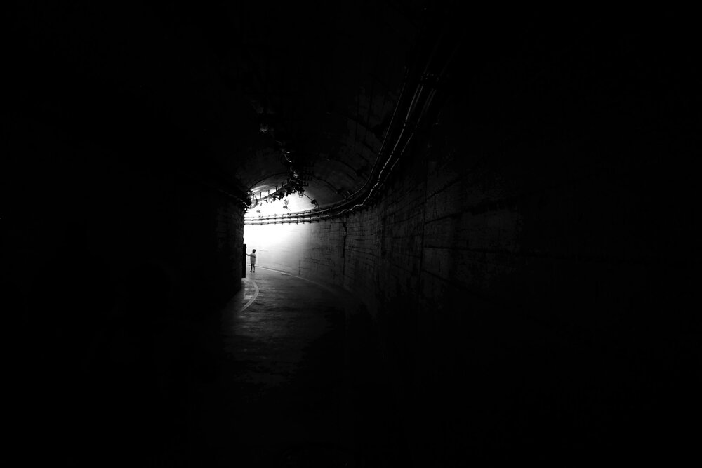 Photo #13802667