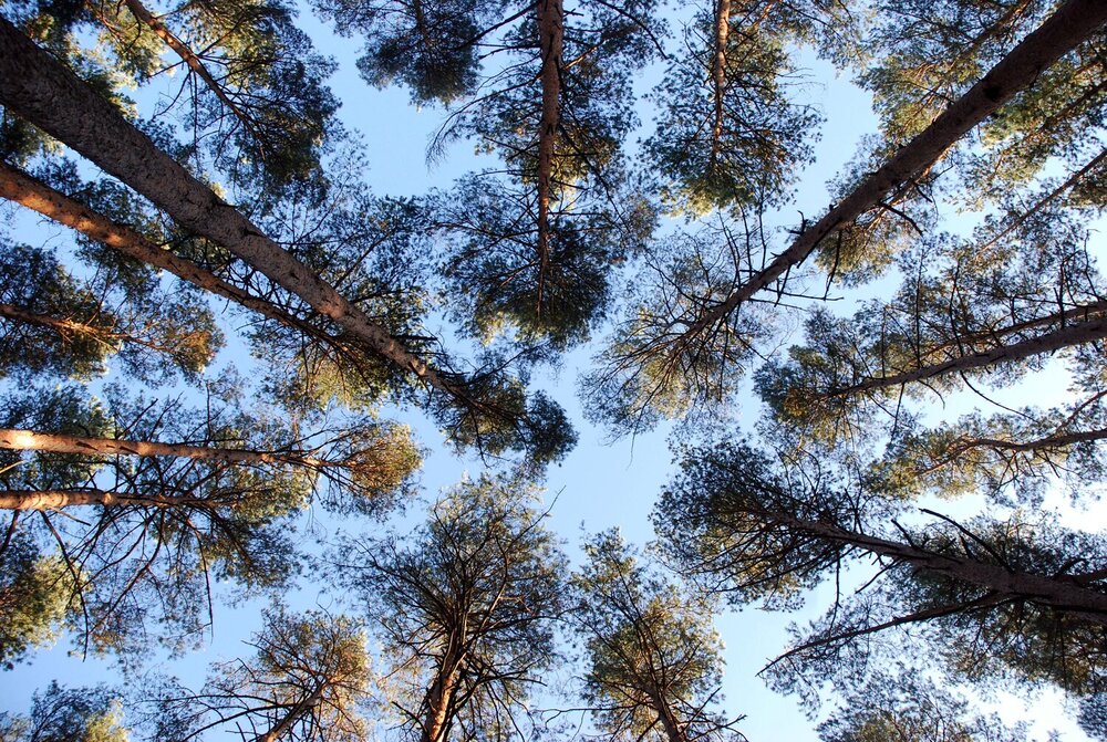 Photograph by DMITRIY DULIN