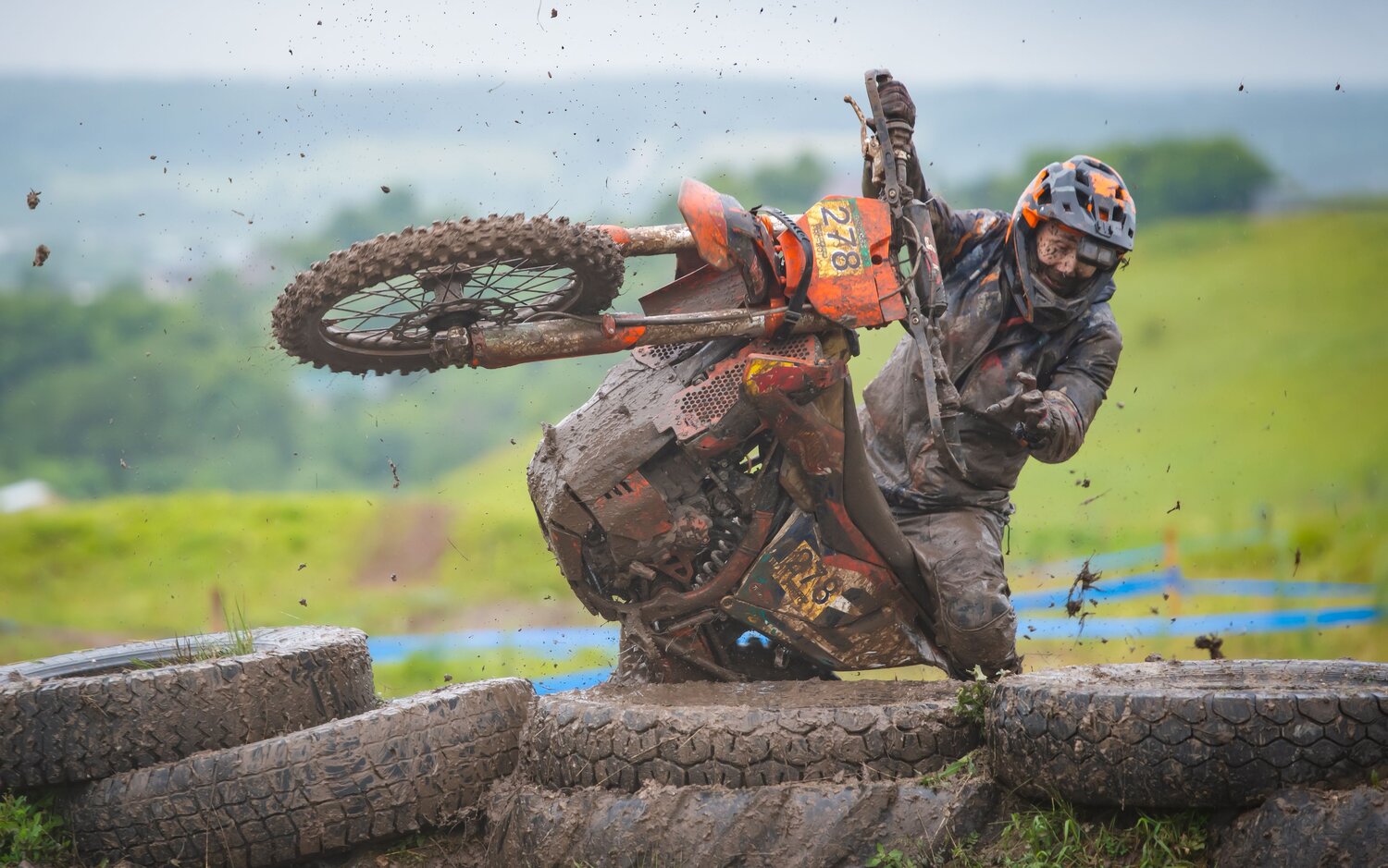 Photo #13802697