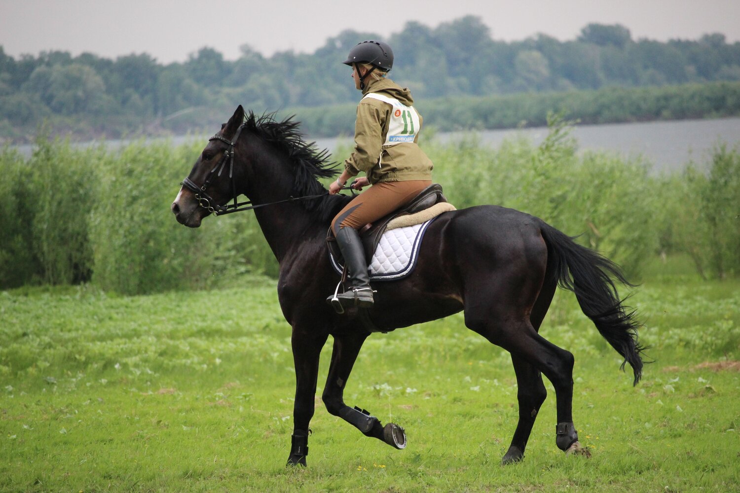 Photo #13802714