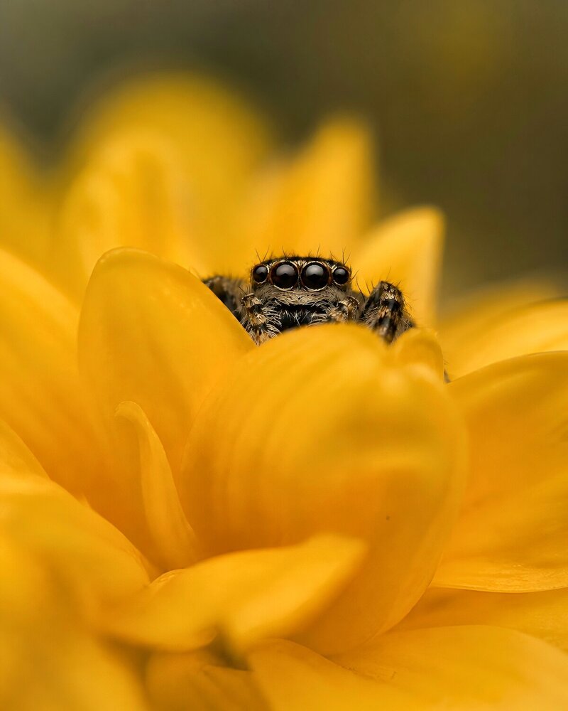 Photograph by Tandon Nitish