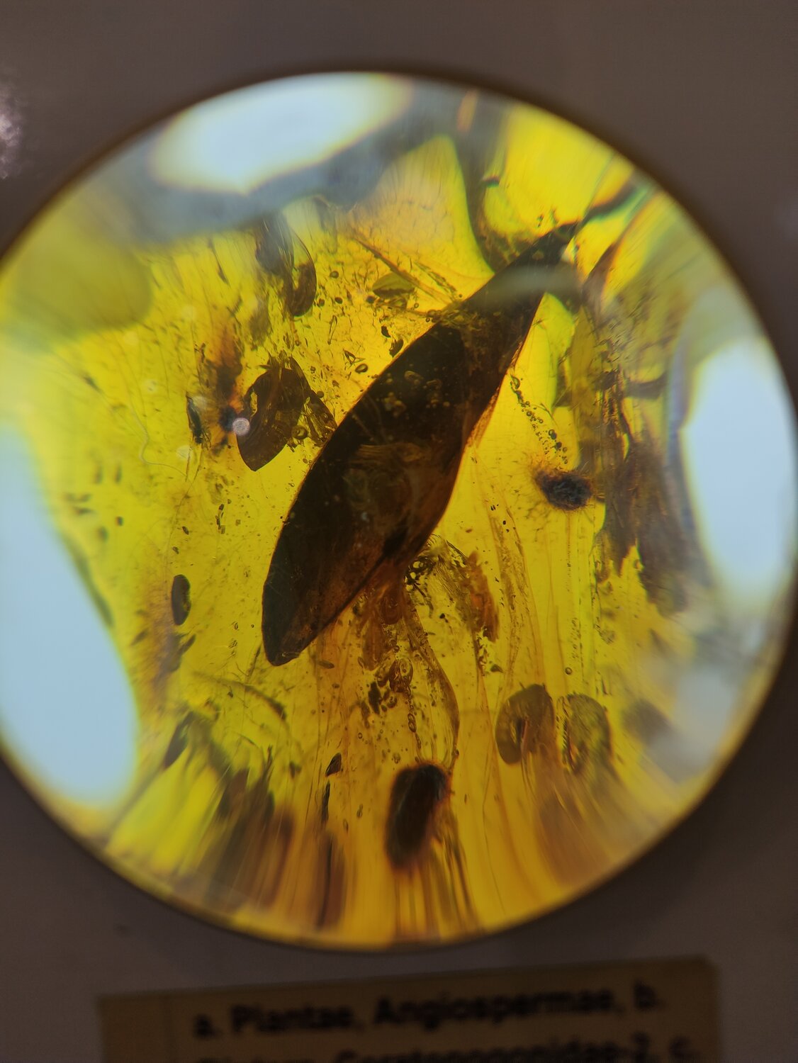 Photo #13802983