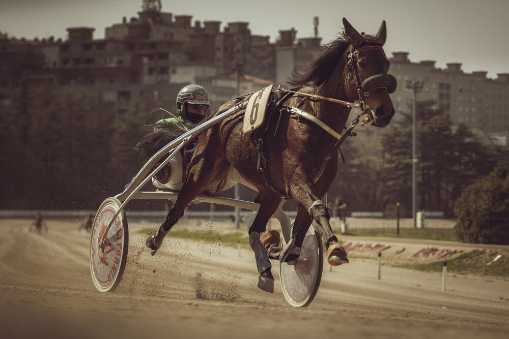 The Rhythm of Speed