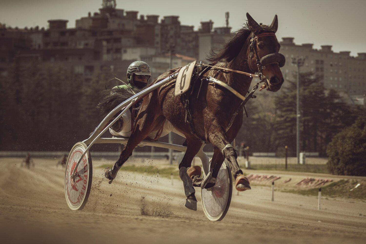 The Rhythm of Speed