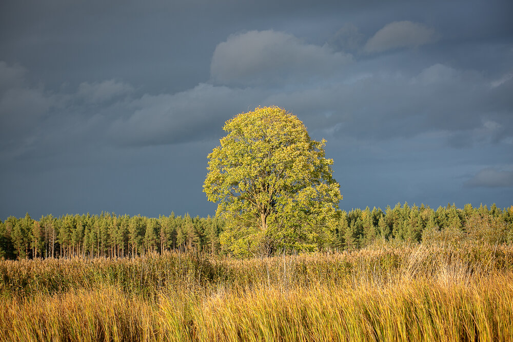 Photograph by Наталья Катюжанская