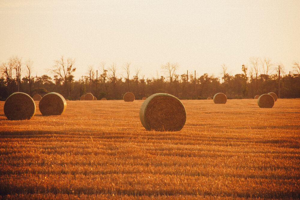 Photograph by Юлия Сысоева