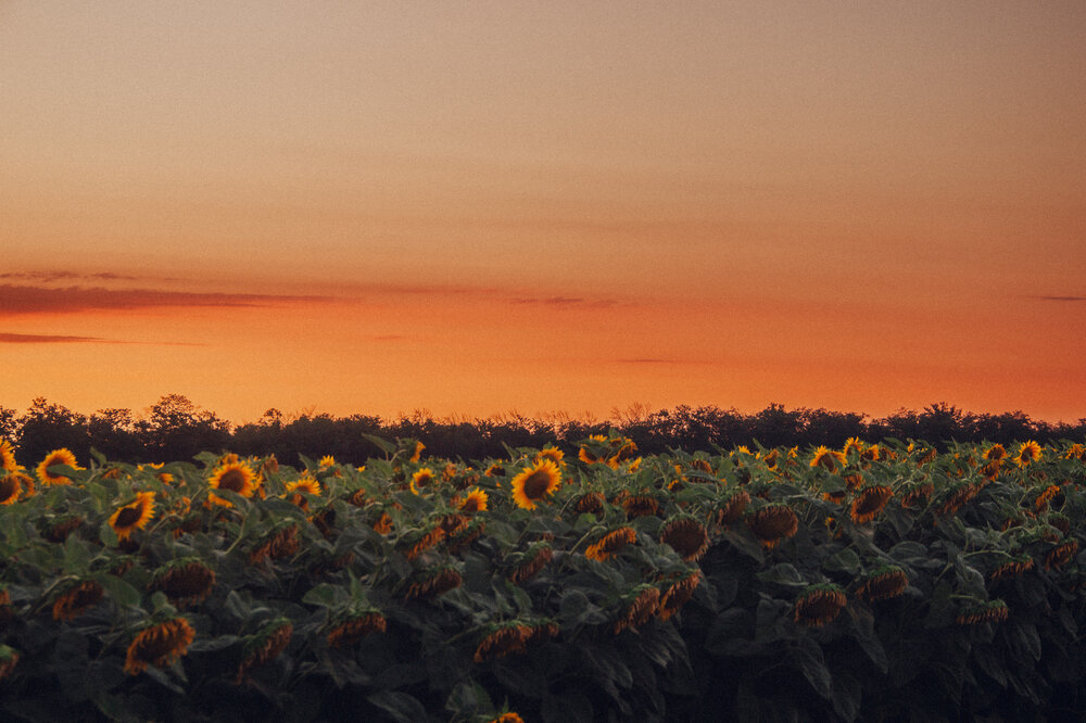 Photograph by Юлия Сысоева