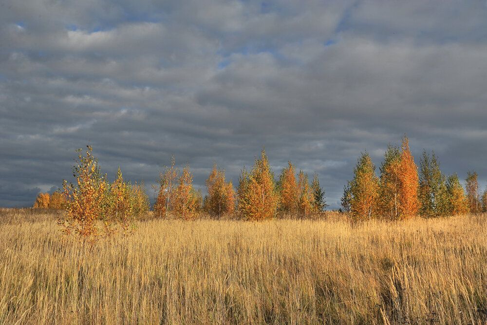 Photograph by Cергей Абакумов