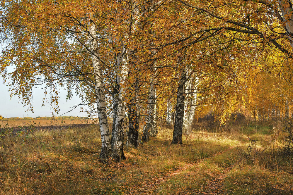 Photograph by Cергей Абакумов