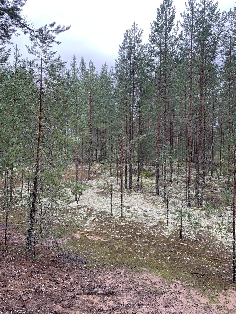 Photograph by Елена