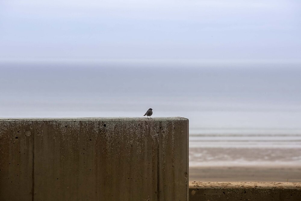 Photograph by Наталья Катюжанская