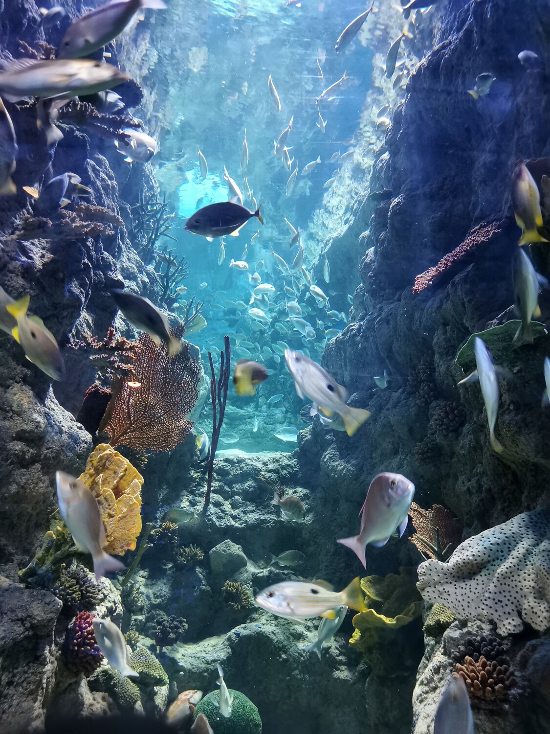 Photo #13803207