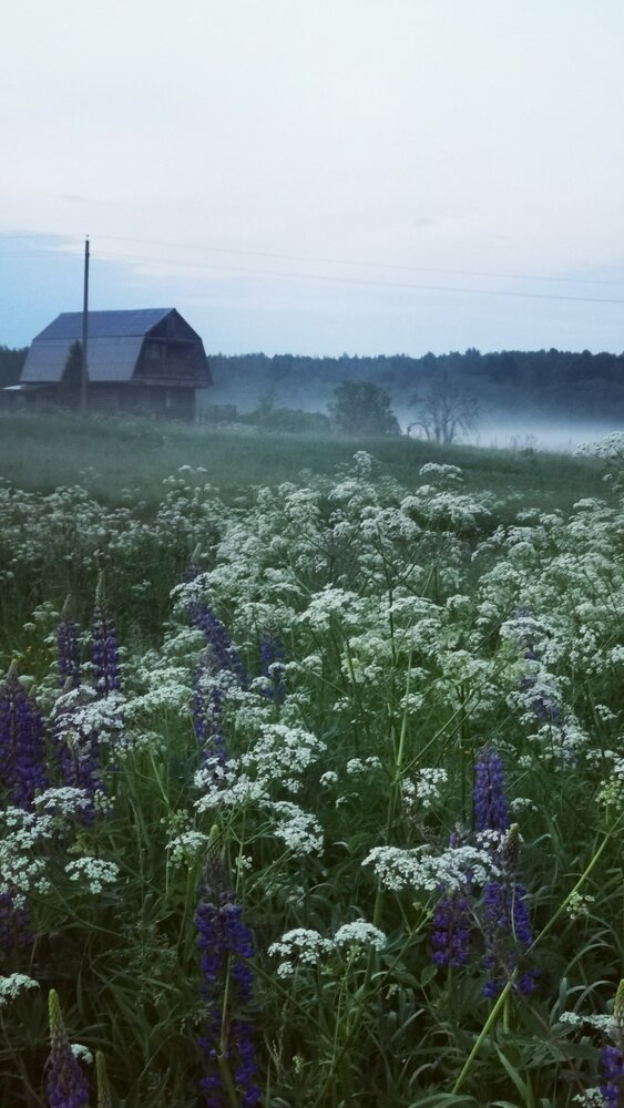 Photograph by Юлия Горелова