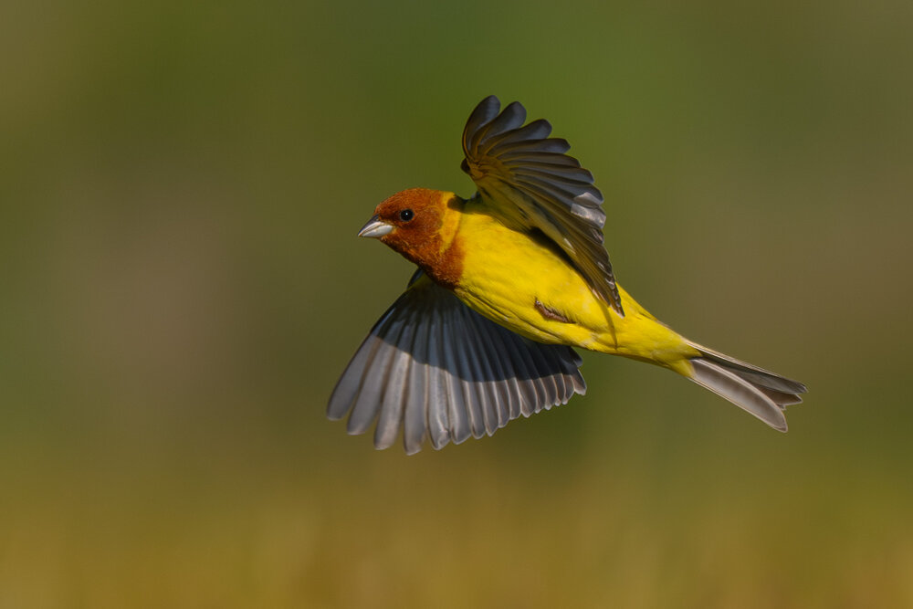 Photograph by Вячеслав Ладанов