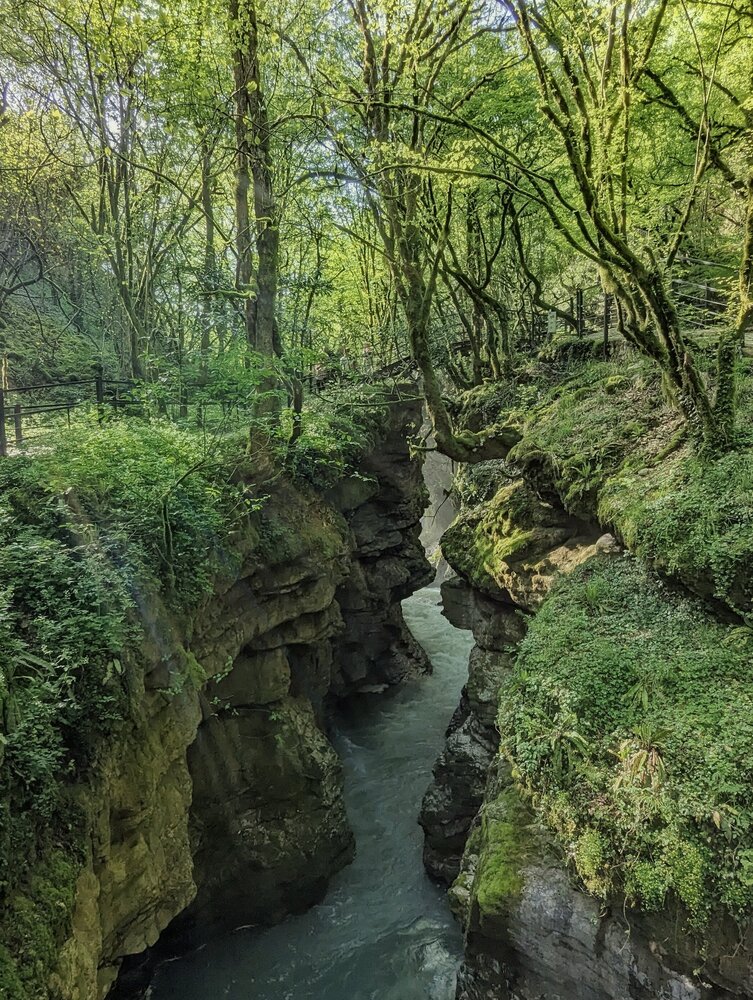 Photograph by Елизавета