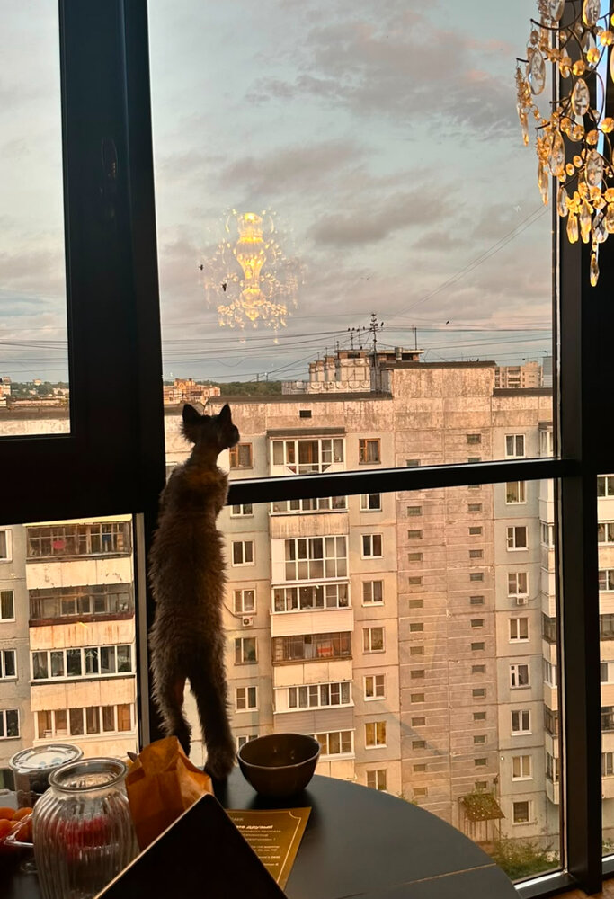 Photograph by Светлана