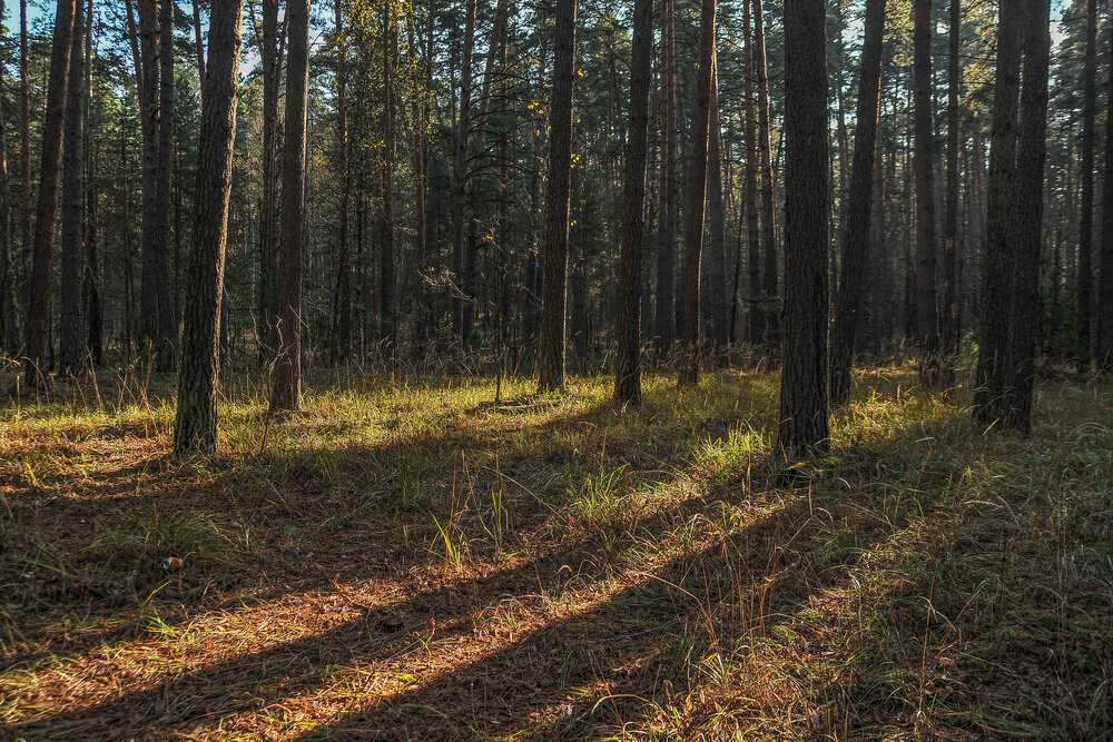 Photograph by Cергей Абакумов