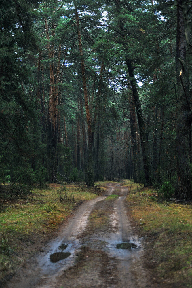 Photograph by Cергей Абакумов