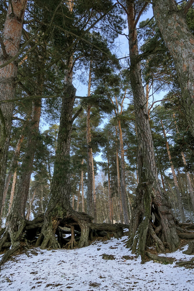 Photograph by Cергей Абакумов