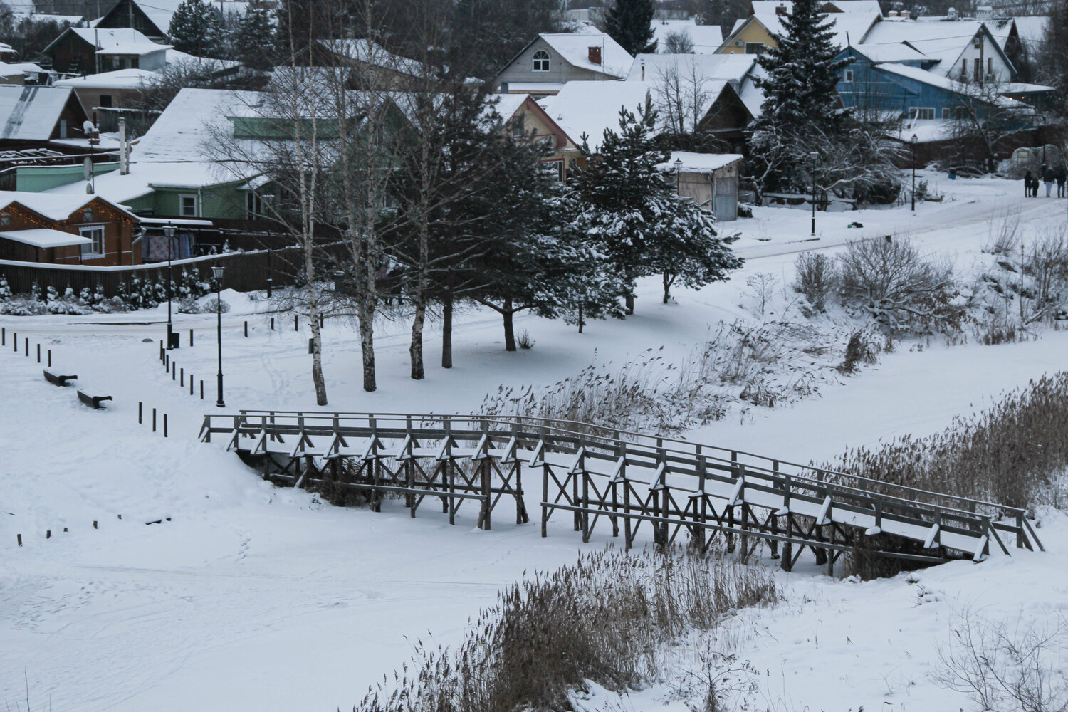 Photo #13803340