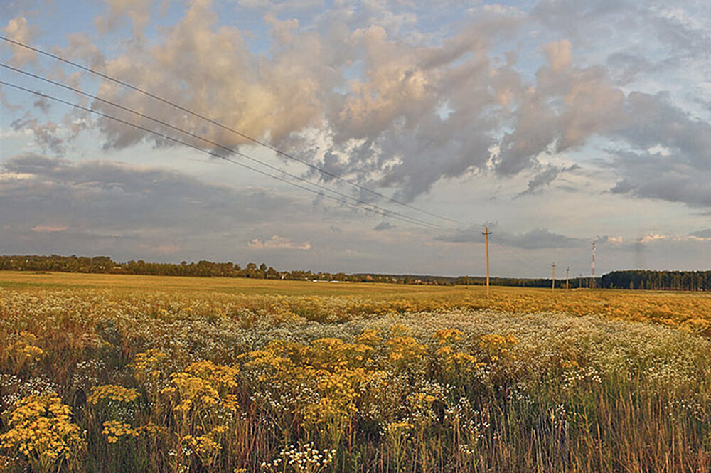 Photograph by Николай Кузьмин