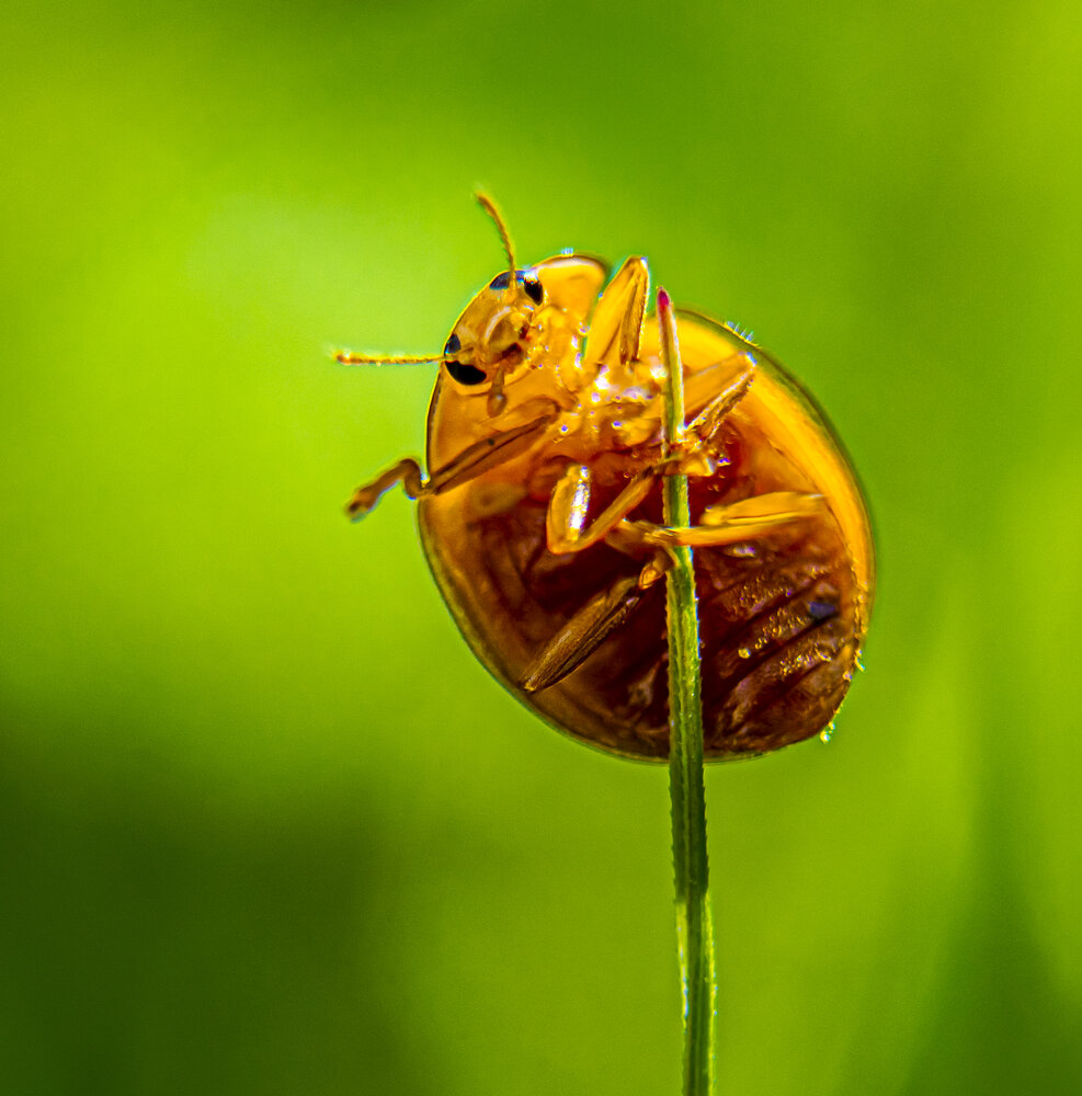Photograph by Yelnikova Olga