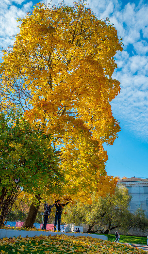 Photograph by Владимир Арбесман