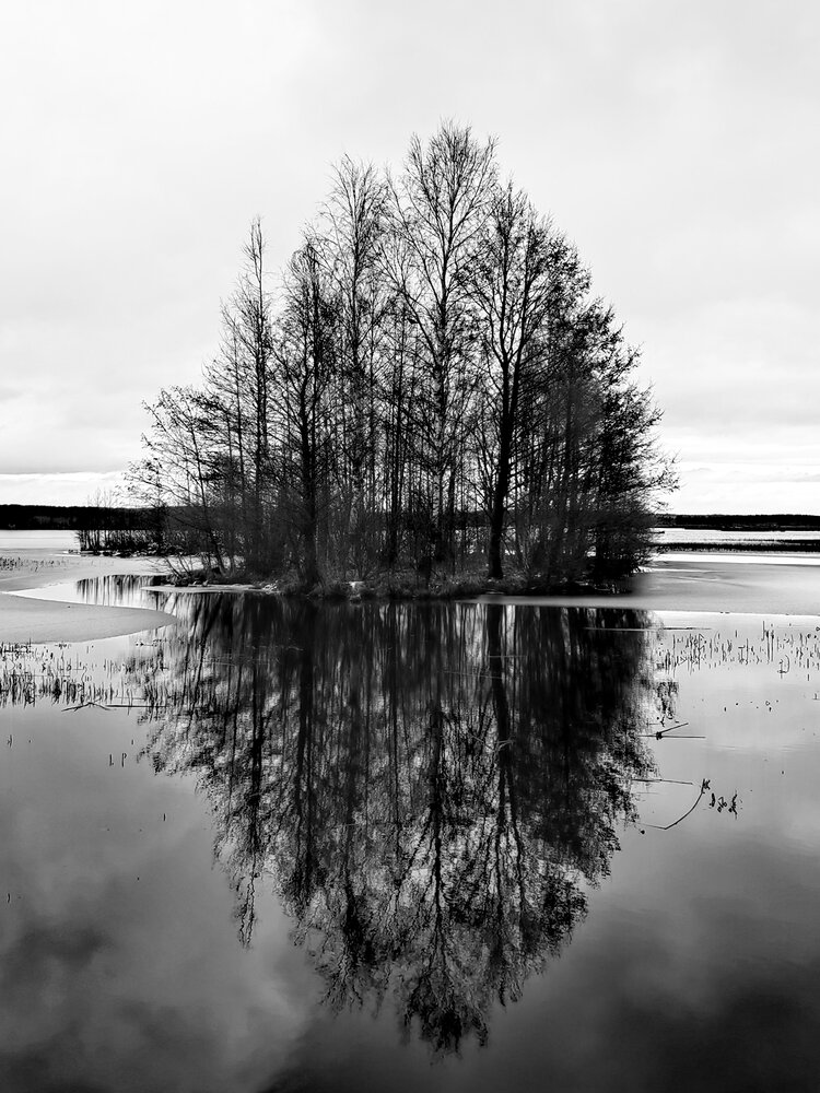 Фотография автора Татьяна Сизова