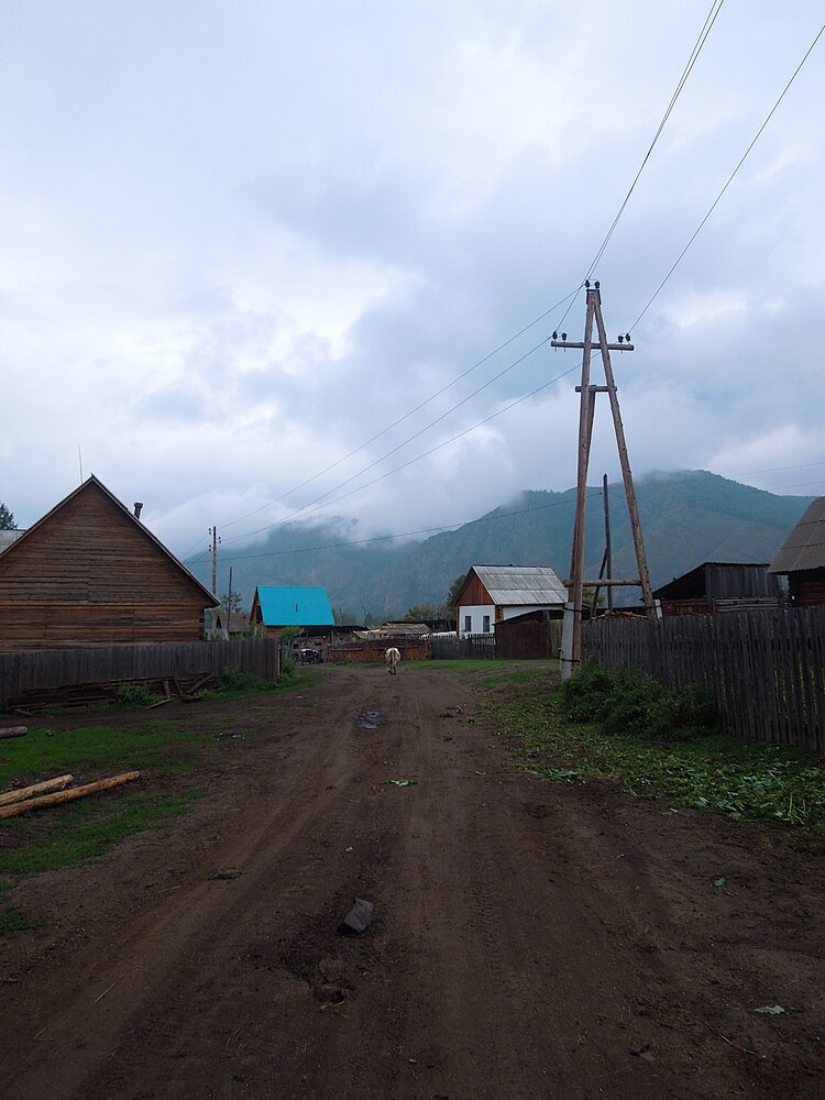 Photo #13803538