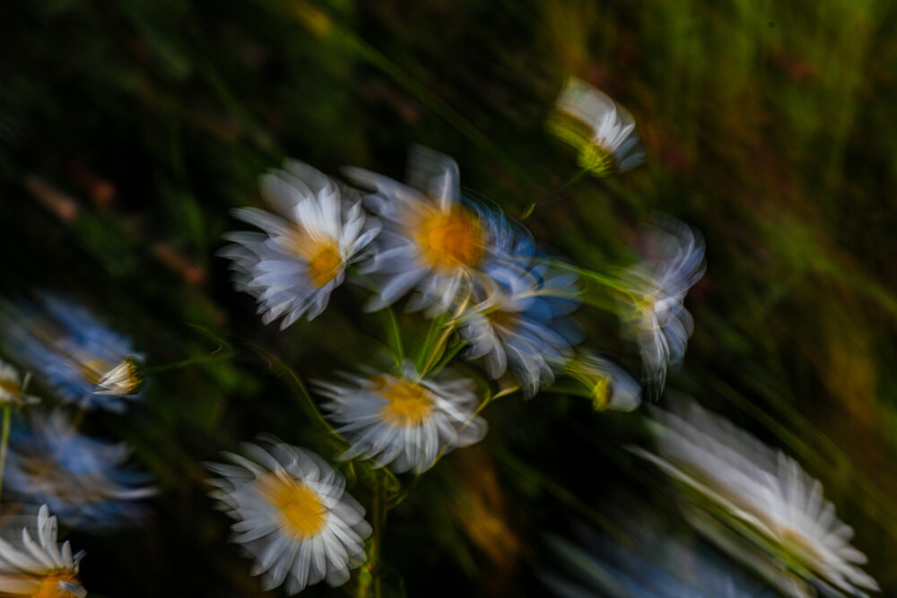 Photograph by Елена Данченко