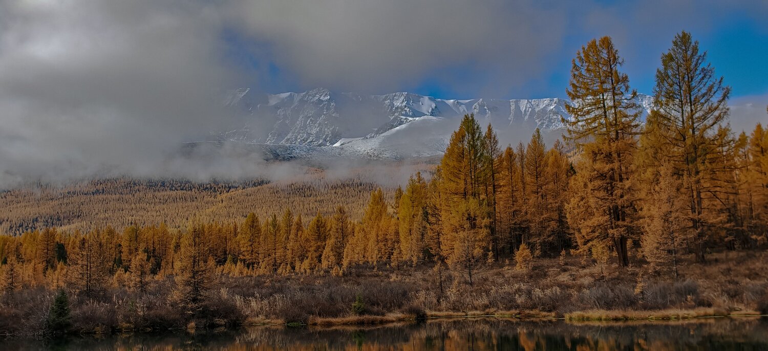 Photo #13803635