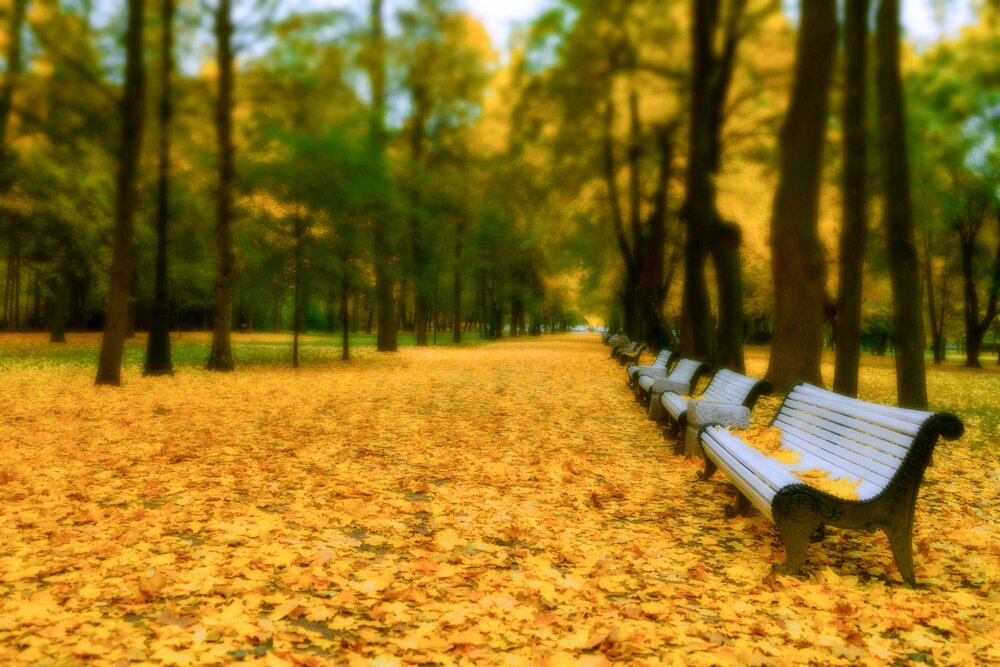 Фотография автора Баглык Вячеслав
