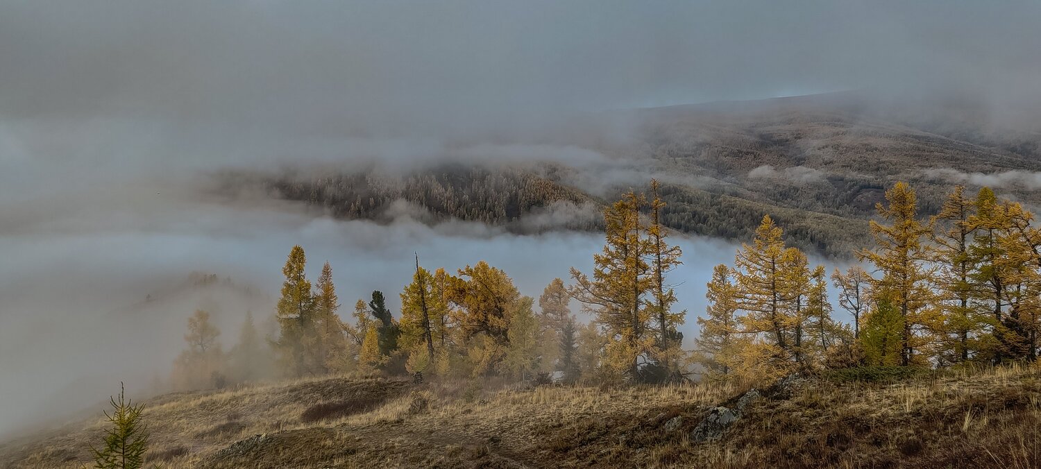 Photo #13803647