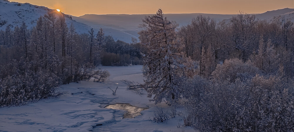 Photo #13803655