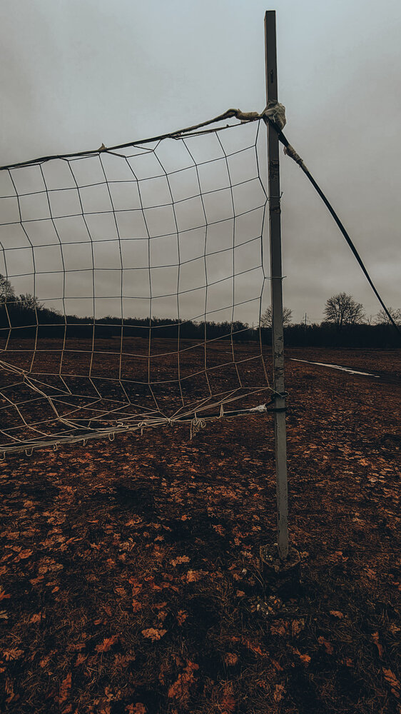Photograph by Людмила Горячева