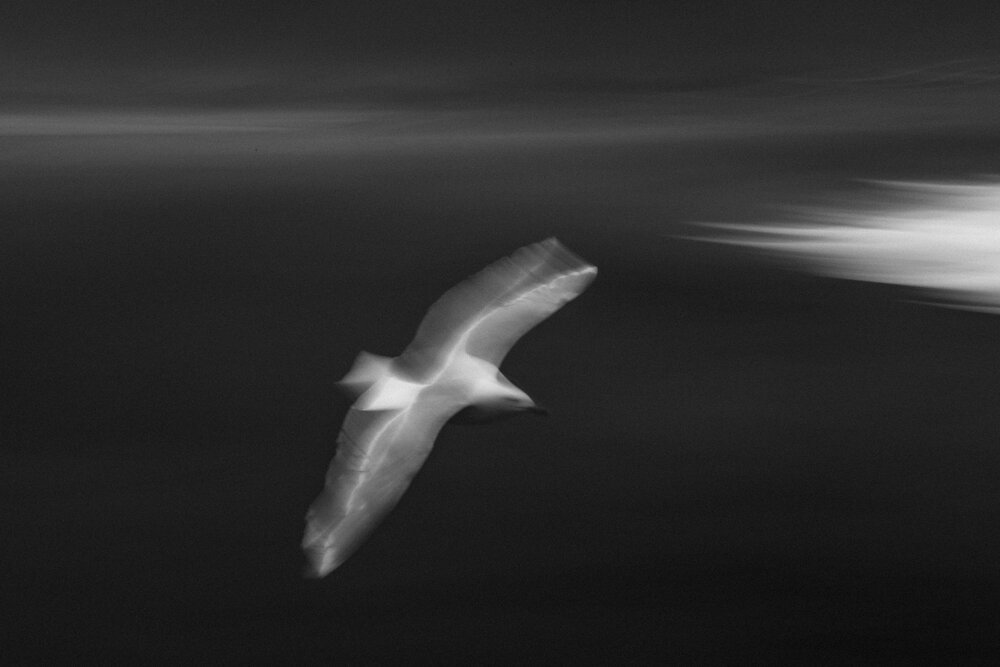 Photograph by Ксения Лаевская