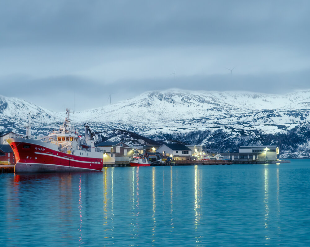 Blue Arctic