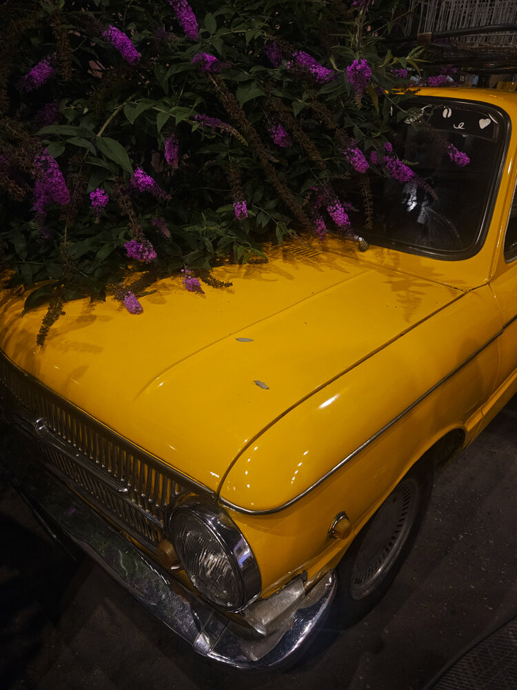Фотография автора Елена Глинская