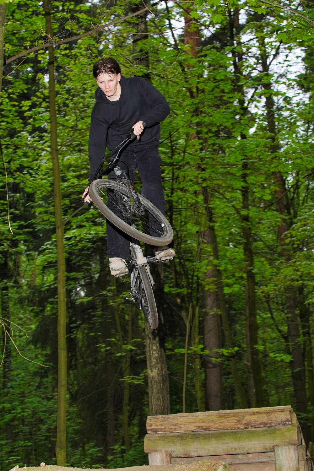 Photo #13803806