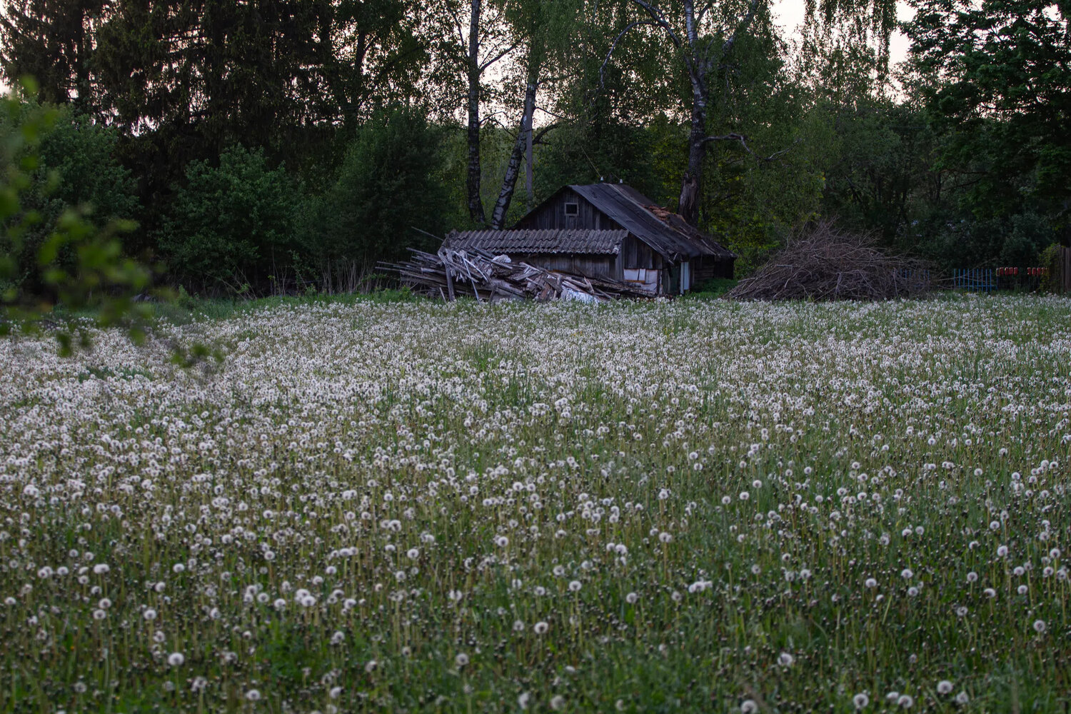 Photo #13803850