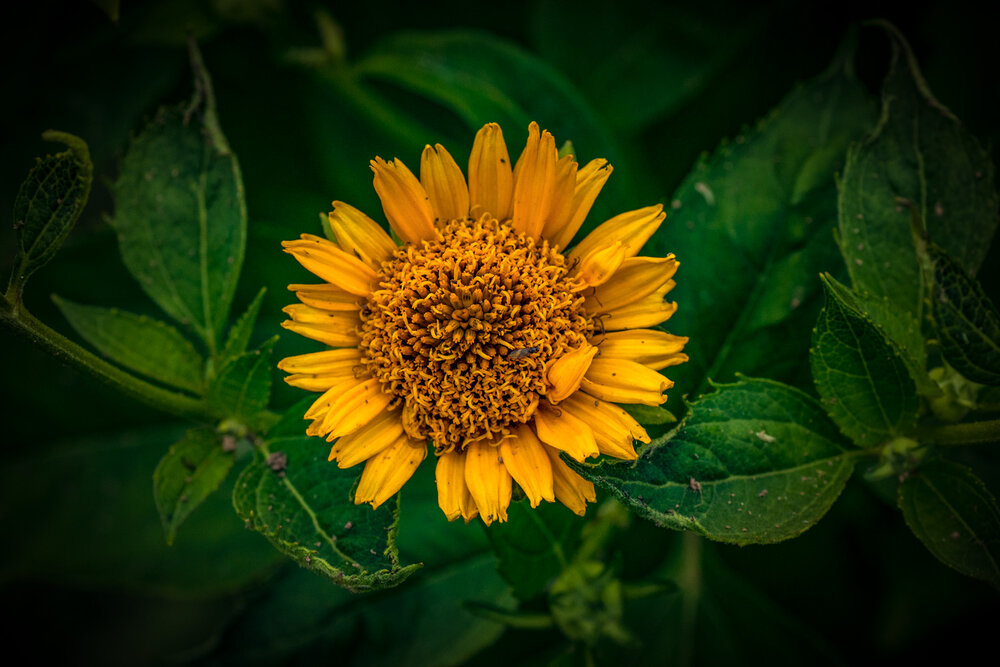 Photograph by Войтко Александр
