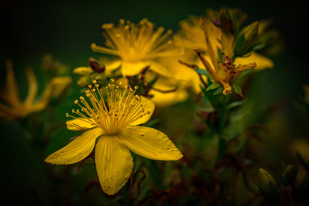 Photograph by Войтко Александр