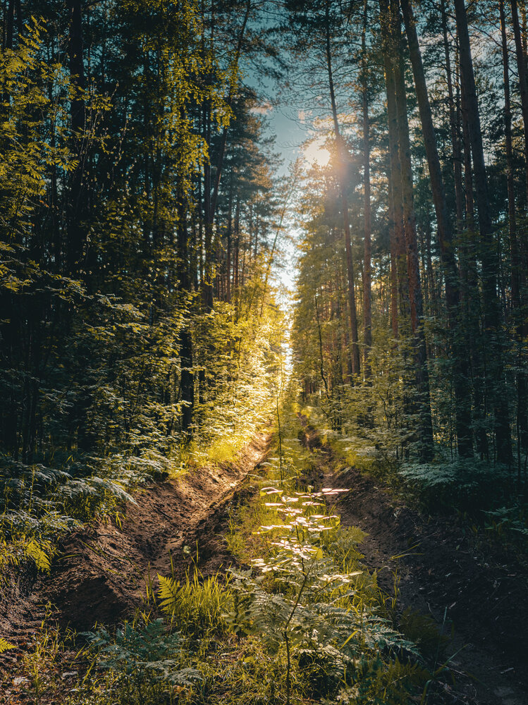 Photograph by Konstantin Martynov