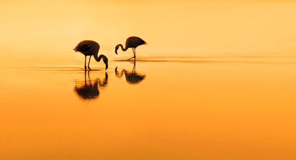 Photograph by Eduardo Modolo