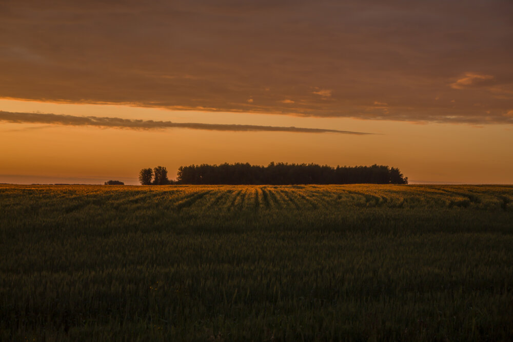 Photograph by Александр Суворов