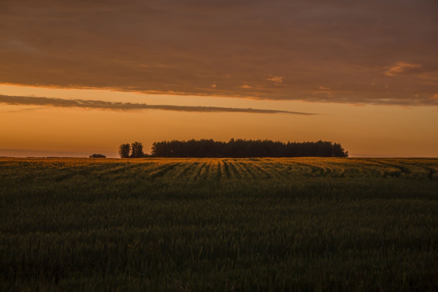 Photo #13804067